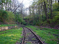 min 54 5.jpg min 54 5.jpg